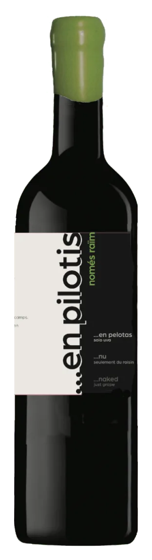 En pilotis