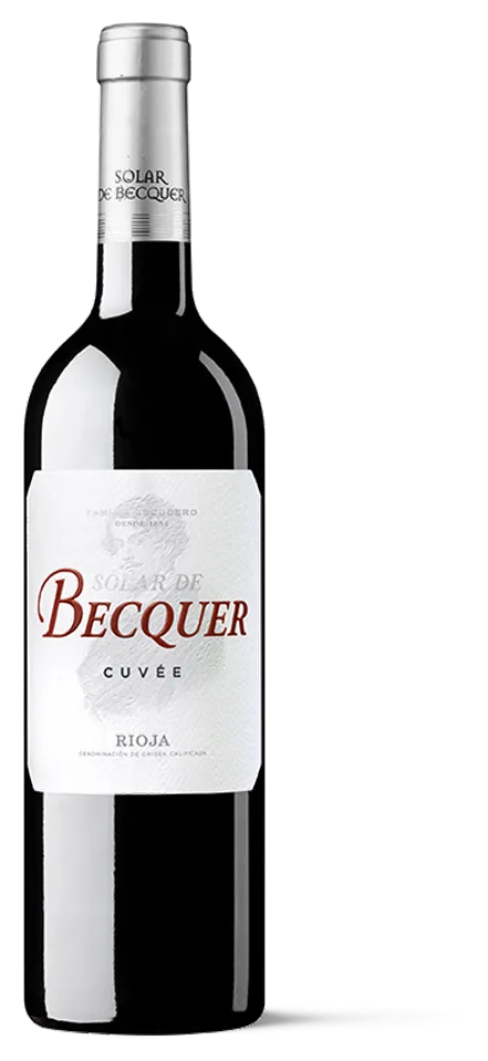 Solar de Becquer Tinto