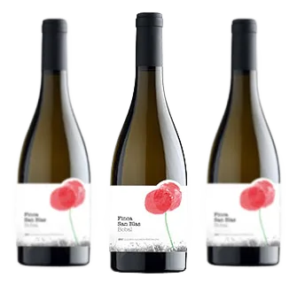 Finca San Blas Bobal