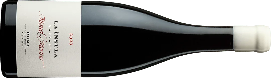 LA ÍNSULA