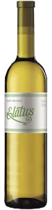 Elatus Blanco
