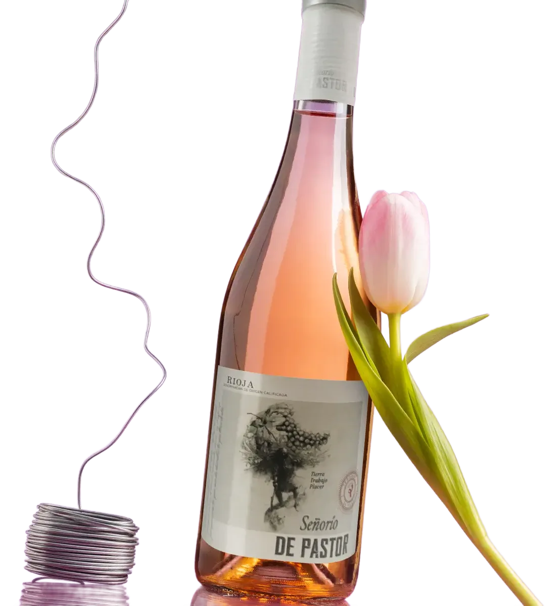 Señorío de Pastor Rosado