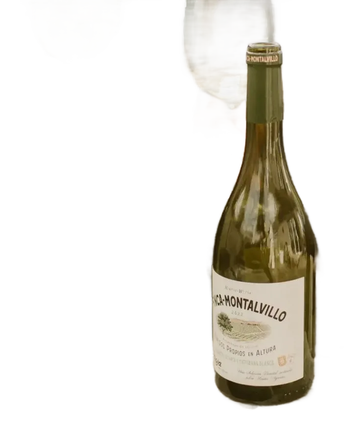 Finca Montalvillo Multivarietal Blanco
