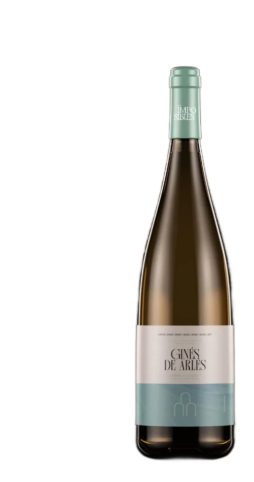 Ginés de Arlés