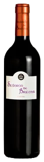 Señorío de Brenda Joven