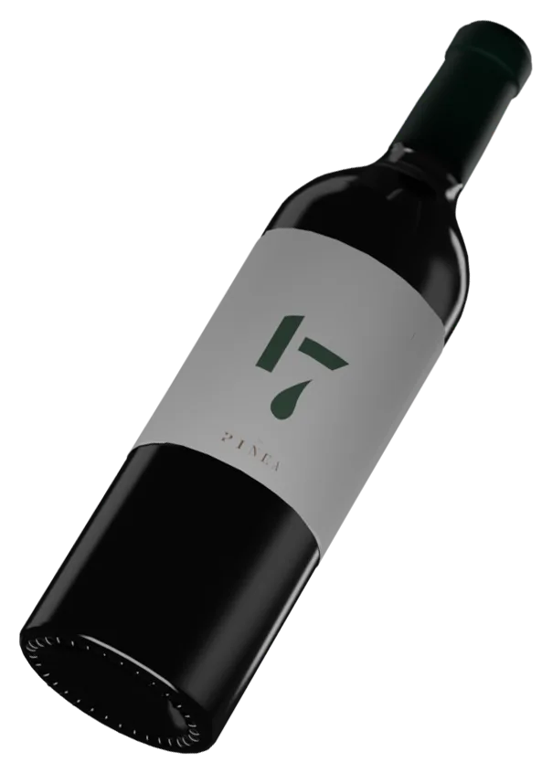 17 by PINEA