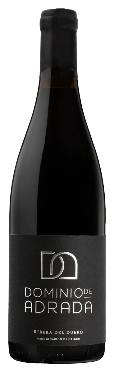 Vino "Domino de Adrada"
