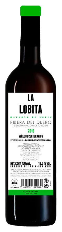 La Lobita 2016
