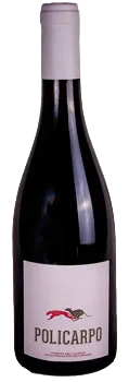 Policarpo