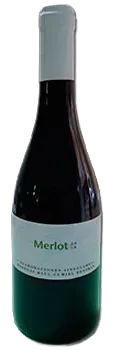 Merlot