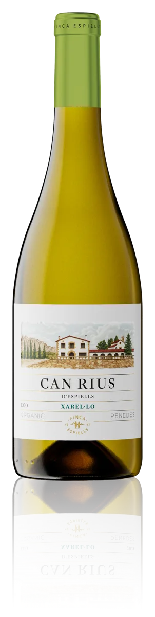 Can Rius