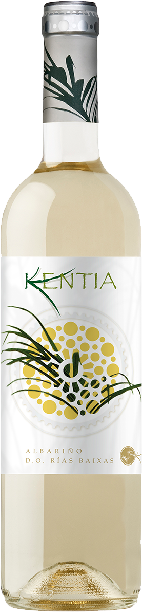 Kentia