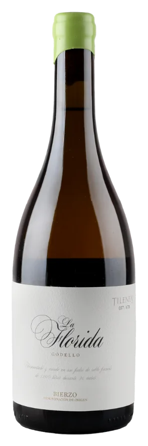TILENUS LA FLORIDA GODELLO