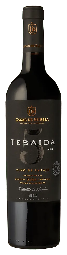 Casar de Burbia Tebaida Nº5