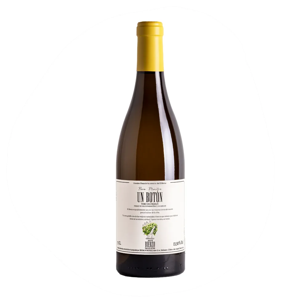 Para muestra, un botón Godello - Vino de Paraje Valdepaxariñas
