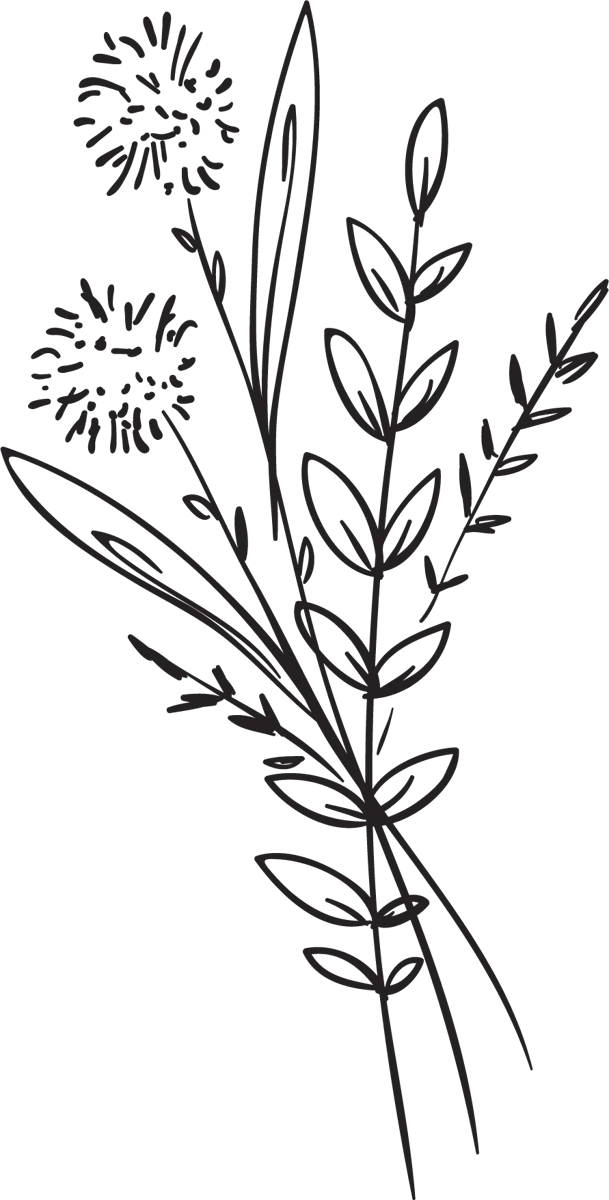 Vermouth rojo