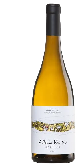 ANTONIO MONTERO GODELLO