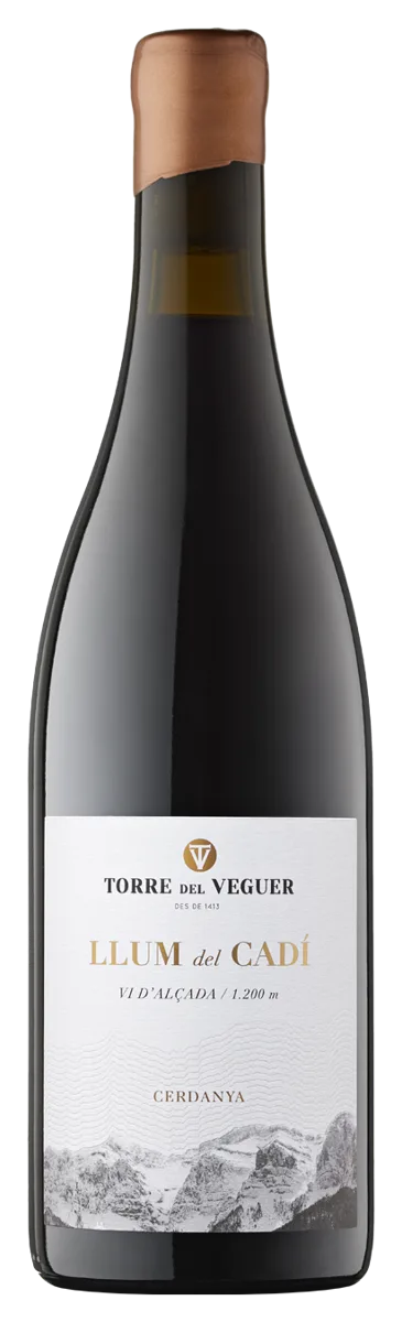 LLUM DEL CADÍ NEGRE