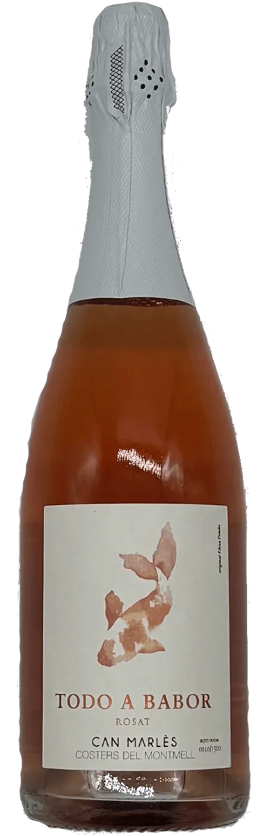 Todo a babor Clàssic Penedès Rosado