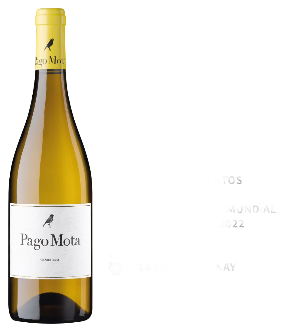 Pago Mota