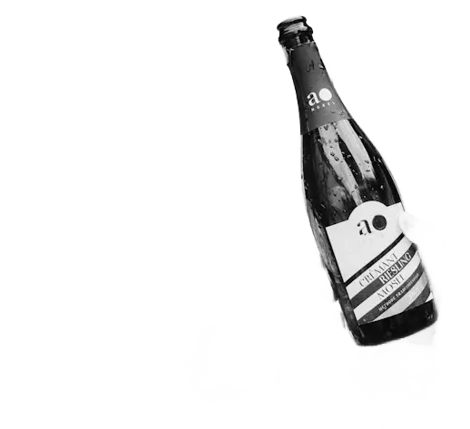 ao MOSEL Riesling Steillagen Crémant