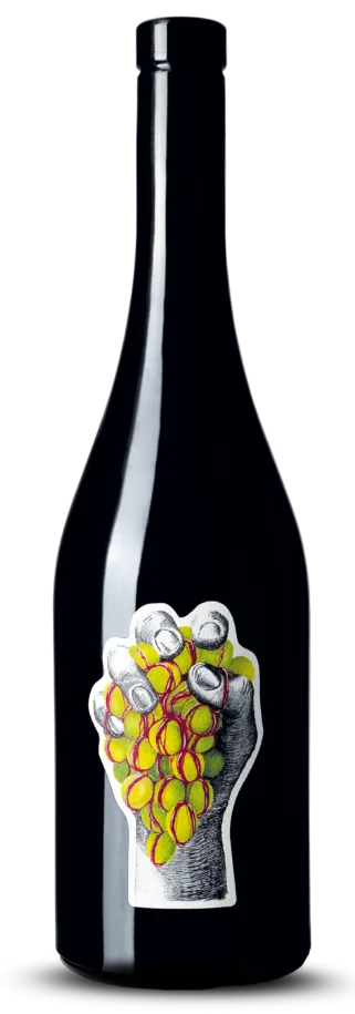 Noir de blancs 2025 – Bio