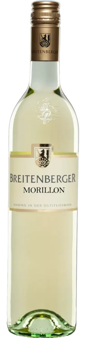 Morillon