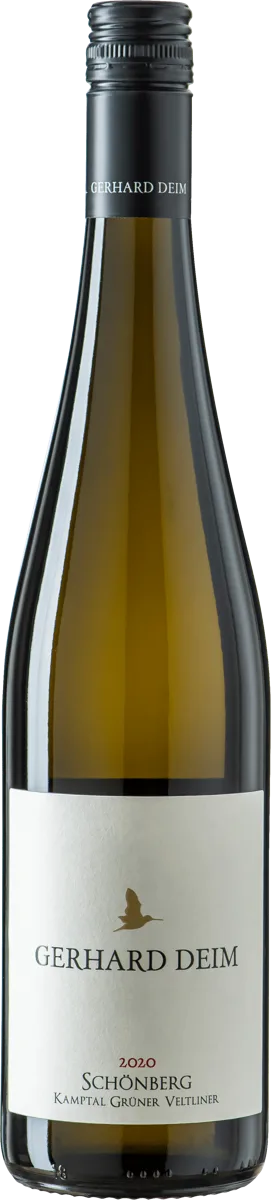 Schönberg GV