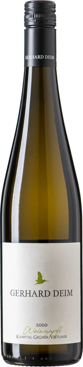 Weinzapfl GV