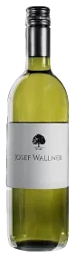 Frühroter Veltliner