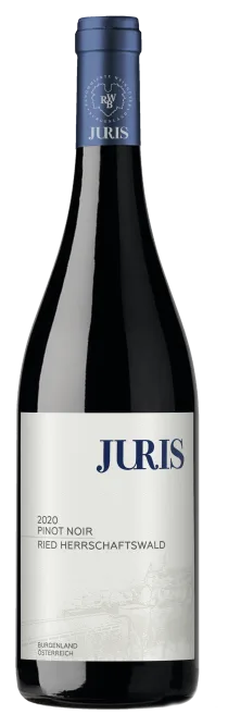 Pinot noir HERRSCHAFTSWALD - 1000 BEEREN