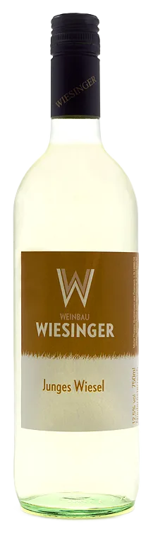 JUNGES WIESEL