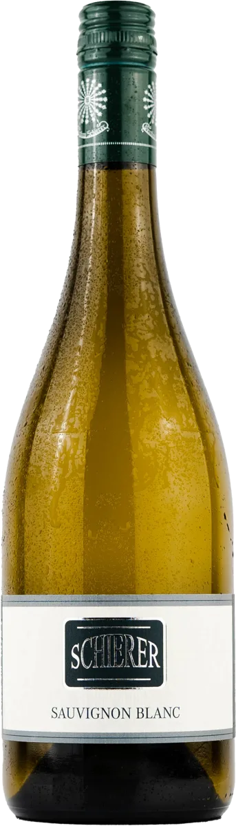 Sauvignon Blanc 2025