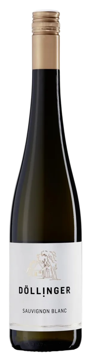 Sauvignon Blanc