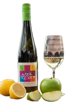 Grüner Veltliner Stein DAC 2025
