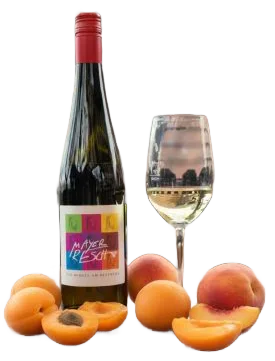 Riesling Kremstal DAC 2024