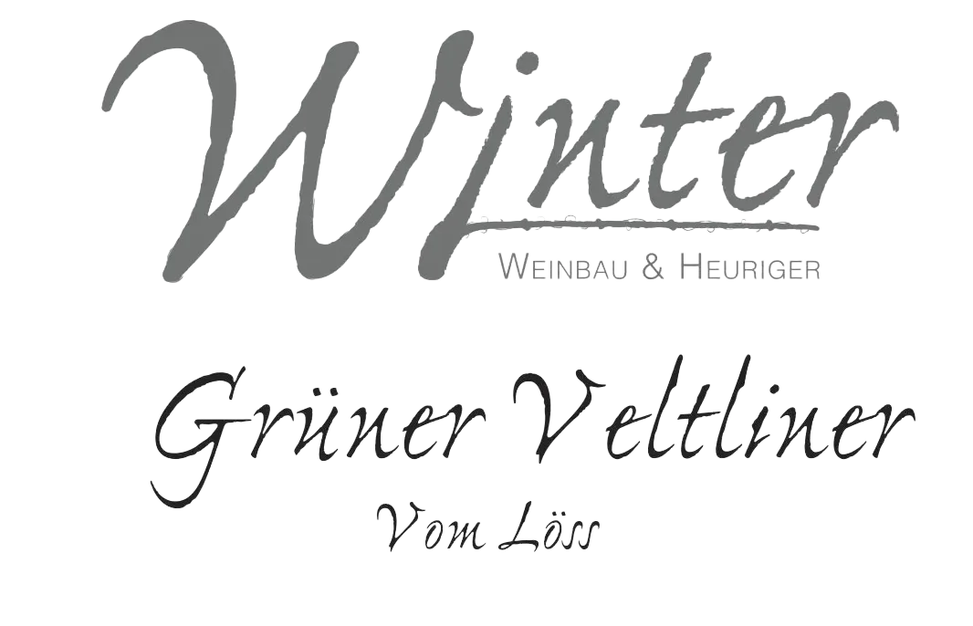 Grüner Veltliner vom Löss