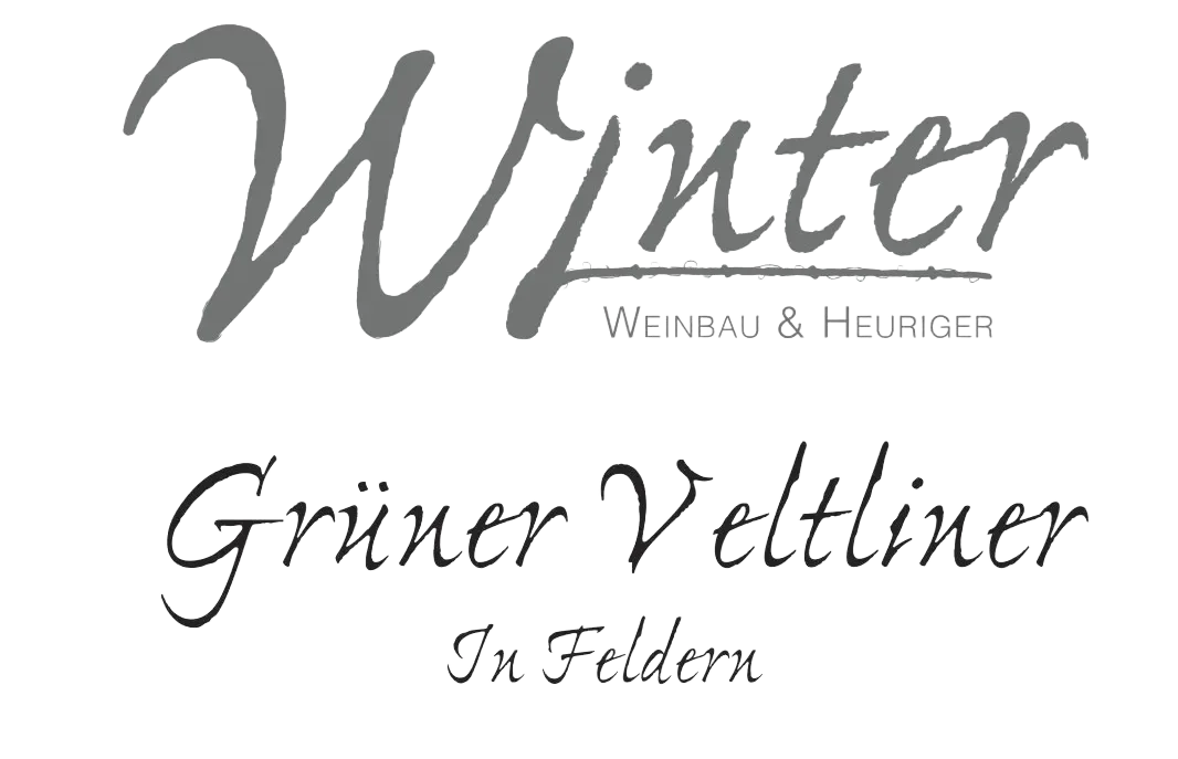 Grüner Veltliner In Feldern