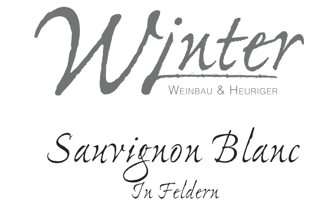 Sauvignon Blanc In Feldern