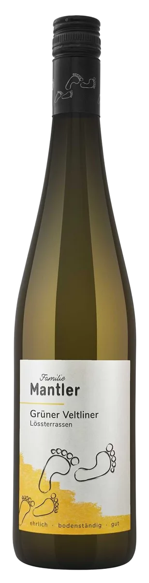 Grüner Veltliner - Lössterrassen