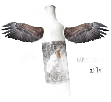 Give me wings 2019 Weissburgunder