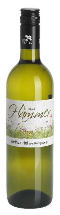 Bio Weinviertel DAC "Königsberg"