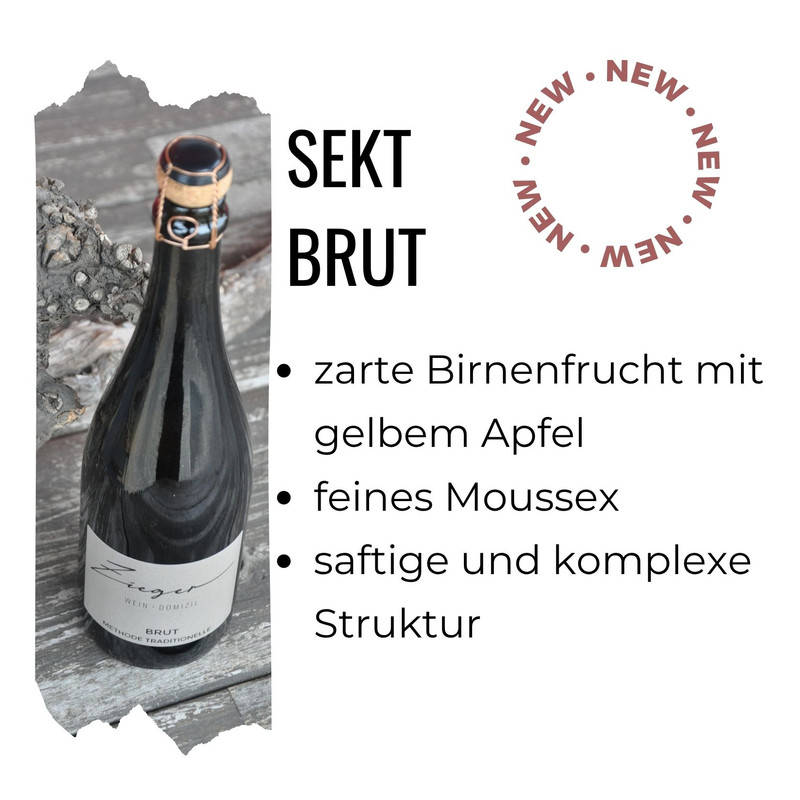 Sekt brut