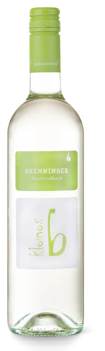 Jungwein Cuvée „kleines b“ MT/GV/SB