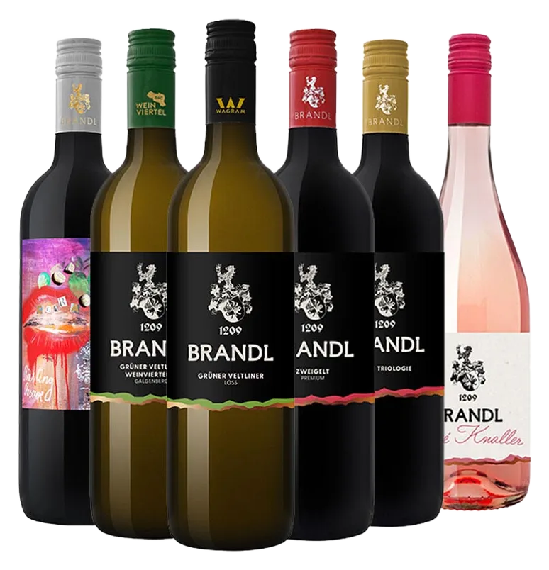 Sommeliers Kiste