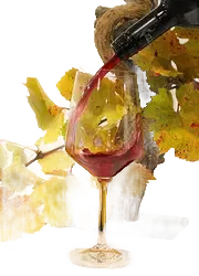 Rotwein