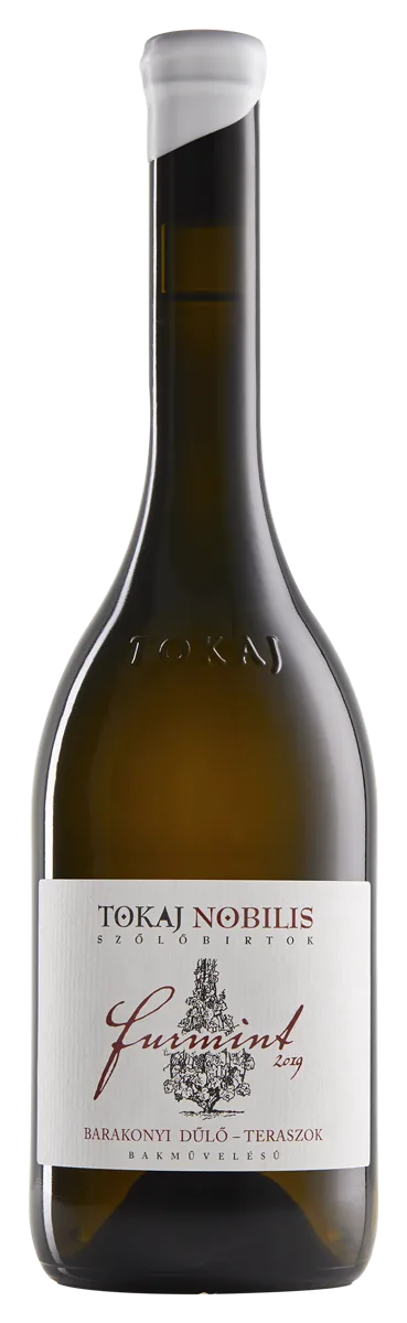 Barakonyi Furmint, Bakművelésű „karós” 2019