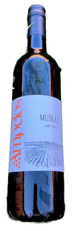 Muškát moravský 2025