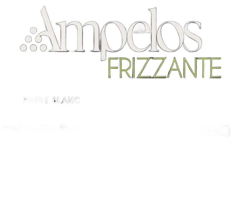 FRIZZANTE Pinot Blanc 2024