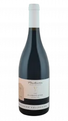 Rulandské modré barrique 2017